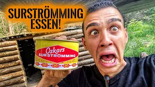 SURSTRÖMMING vs SURVIVAL MATTIN! 🤢 Die ultimative EKEL CHALLENGE | Stream Highlights