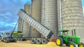 High Moisture Corn Efficiency