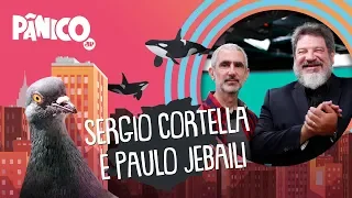 Mario Sergio Cortella e Paulo Jebaili | PÂNICO - 03/02/2020 - AO VIVO