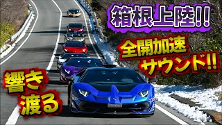 【フル加速🤣】箱根の山に響き渡る全開サウンド🤩🤩ヤバすぎる❣️#aventador #svj #lamborghini