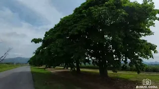 La tierra fértil de Agua Blanca.