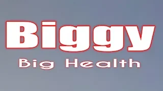 BiG HEATH - BiGGY (Lyrics)