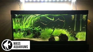 Intro to High Tech Planted Aquariums. Beginners Guide: Part 1