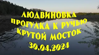 Людвиновка. Прогулка к ручью Крутой мосток [4k] (30.04.2024)