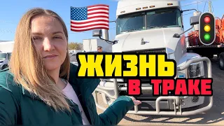 ВСЕЙ СЕМЬЕЙ В ПУТЬ | БЫТ И ОБУСТРОЙСТВО #сша #lifestyle #жизньвсша