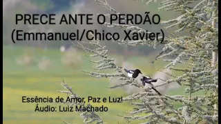 Prece Ante o Perdão! Emmanuel Chico Xavier! ORAÇÕES E MENSAGENS PARA TODOS OS MOMENTOS!