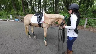 Peaches is In Trouble | Horse Training PART I