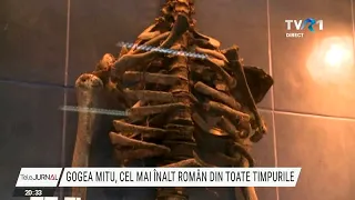 Cel mai înalt român din toate timpurile a fost şi cel mai mare boxer din istoria acestui sport