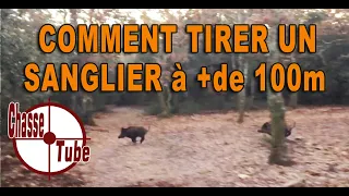 Comment tirer un sanglier (même à plus de 100 m) : zone vitale, apophyse, lunette de tir, etc.