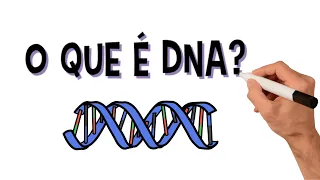 O que é DNA? Como funciona e quais as suas funções