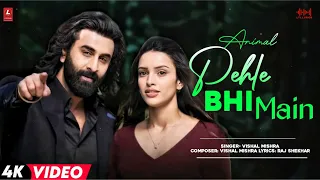 Pehle Bhi Main (LYRICS) | Animal | Vishal Mishra | Raj Shekhar | Ranbir Kapoor & Rashmika Mandanna