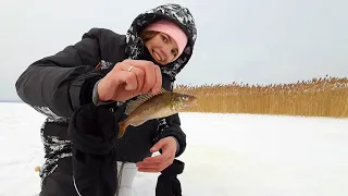 РЫБАЛКА В ГЛУХОЗИМЬЕ. Искали окуня, нашли только ерша. Девушка на зимней рыбалке.