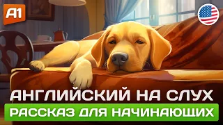 НАЧНИ ПОНИМАТЬ АНГЛИЙСКИЙ НА СЛУХ 🎧 Простой рассказ для начинающих (А1-А2)