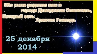 Рождество Христово / 25 декабря 2014 (утро) / Церковь Спасение