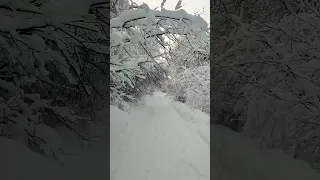 Прогулка по заснеженной дороге  деревни Кротово. Зима 2024