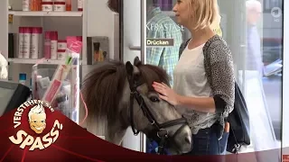 Einmal Pony schneiden, bitte! | Verstehen Sie Spaß?