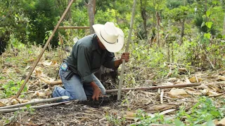 Vita dove la siccità regna -  Il sistema agroforestale Kuxur Rum