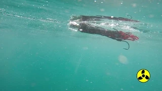 Underwater Video of Sportfishing Lures