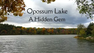 Opossum Lake ~ A Hidden Gem
