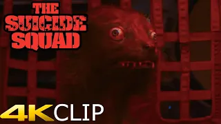 THE SUICIDE SQUAD Clip "This Is Not a Dog" | 2021 | 4K CLIP