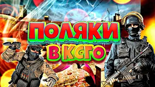 🍑СМЕШНЫЕ МОМЕНТЫ В CSGO : ПОЛЯКИ В КСГО // МАРМОК ЛЕНДСТОП // FUNNY CSGO