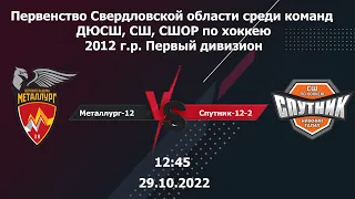 29.10.2022 Металлург-12 - Спутник-12-2.