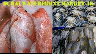 Dubai Waterfront Market | Dubai's Fish, Fruit & Vegetable Market | Complete Tour