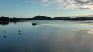 Mavic 3 Pelicans in 120 fps