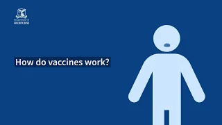The science behind the search for a COVID-19 vaccine: How do vaccines work?