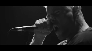 The Johari Window - Woe (Official Music Video) BTT EXCLUSIVE