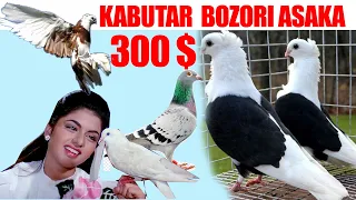 3-FEVRAL KABUTAR BOZOR NARXLARI | ANDIJON ASAKA|