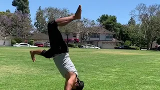 Capoeira and Bokator Hybrid