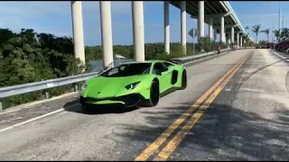 Lamborghini Bull Fest! GREAT SOUNDS!