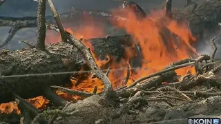 How have 2018 wildfires impacted Oregon tourism?