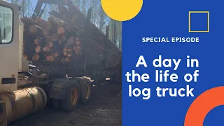 A day in the life of a log truck driver