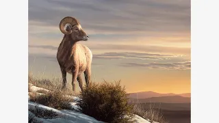 REALISTIC PAINTING - FUR TECHNIQUES, GRASS AND FOLIAGE, GLOWING SKY, BIGHORN SHEEP