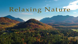 3 Hours of Amazing Nature Scenery | Relaxing Music for Incredible Stress Relief