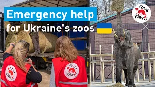 Emergency Help for Ukraine's Zoo Animals (FULL STORY)