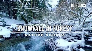 Snowfall in the winter forest. Relaxing sounds of a running river. Snowy landscape background video.