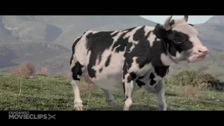 البقره الخارقه افضل قتال😘😘