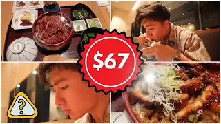 I Paid $67 for an Eel and I regret it - Japan Vlog Day 5