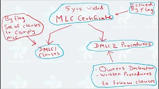 MLC 2006 (Maritime Labour Convention) Title 5: Verification and Compliance, DMLC, MLC certification