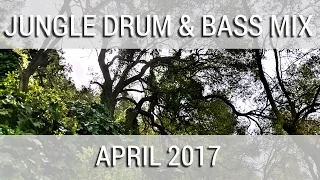 ► Jungle Drum & Bass Mix - April 2017