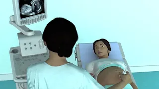 The Basic Steps of an Obstetric Ultrasound Examination