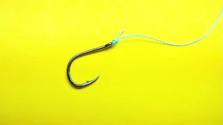 The pitzen knot. You should know this fishing knot. How to attach a hook to a fishing line