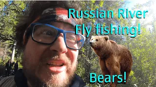 RUSSIAN RIVER FLY FISHING (CLOSE BEAR ENCOUNTER!!!)