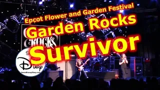Survivor Live | Walt Disney World | Epcot Flower and Garden Festival | Garden Rocks