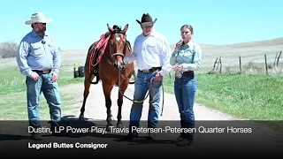 Petersen Quarter Horses Consignor Interview