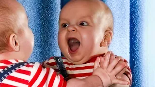 Try Not to Laugh Hilarious Funny Baby Videos | BABY BROS