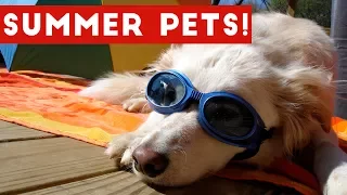 Funniest Summer Pets of 2017 Compilation | Funny Pet Videos